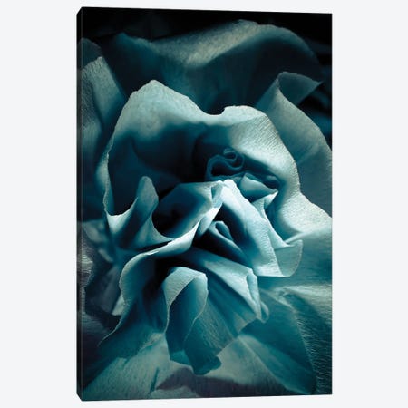 Blue Paper Rose Canvas Print #SVR19} by Larisa Siverina Canvas Art Print