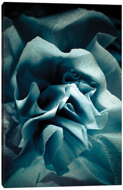 Blue Paper Rose Canvas Art Print - Larisa Siverina