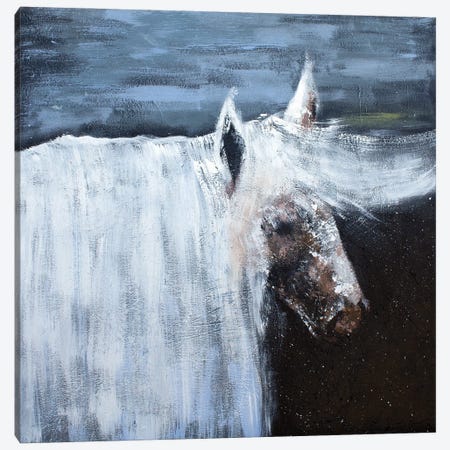 White Horse Canvas Print #SVR1} by Larisa Siverina Art Print