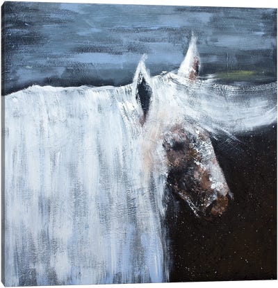 White Horse Canvas Art Print - Larisa Siverina