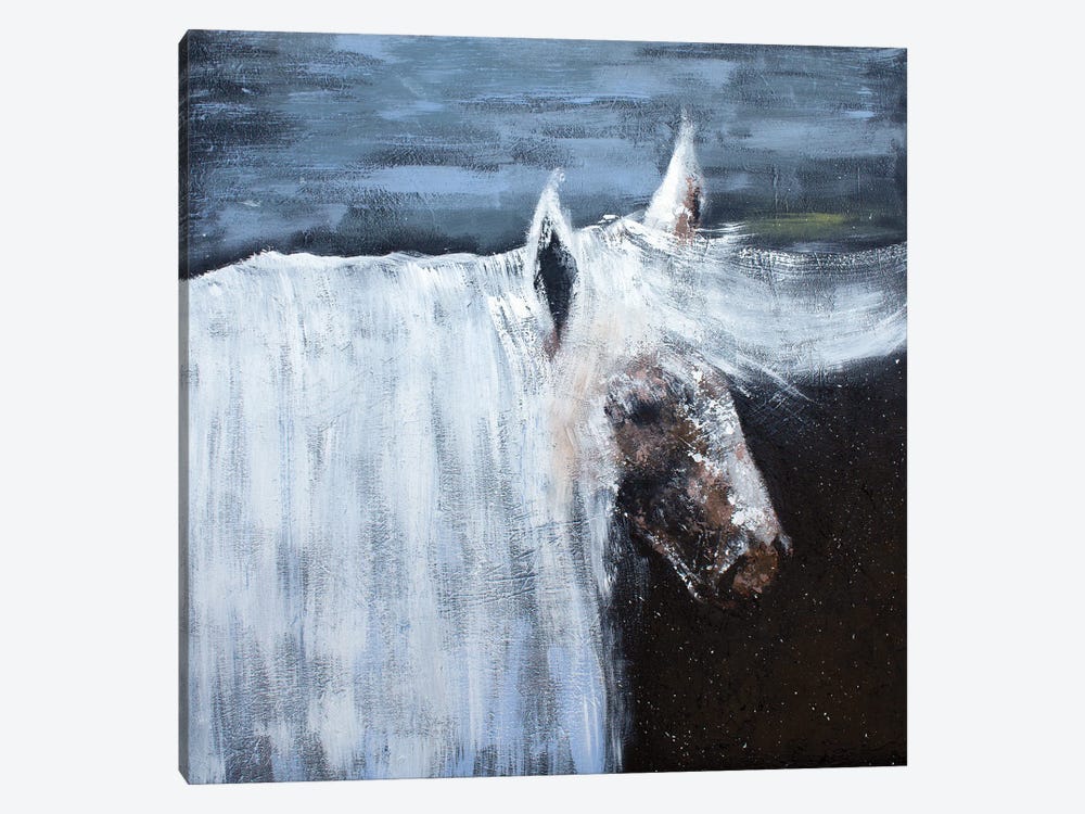 White Horse by Larisa Siverina 1-piece Canvas Art Print