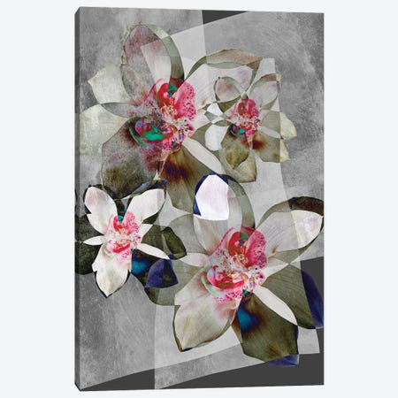 Orchid Bouquet Canvas Print #SVR242} by Larisa Siverina Canvas Art