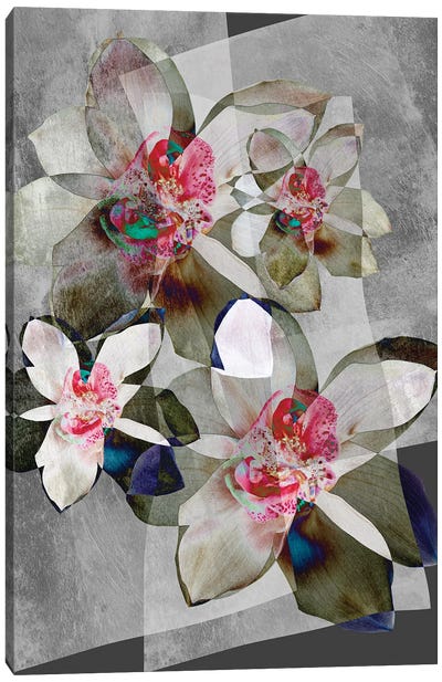 Orchid Bouquet Canvas Art Print - Orchid Art