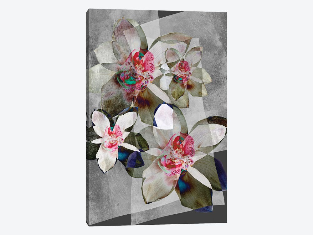 Orchid Bouquet by Larisa Siverina 1-piece Canvas Print