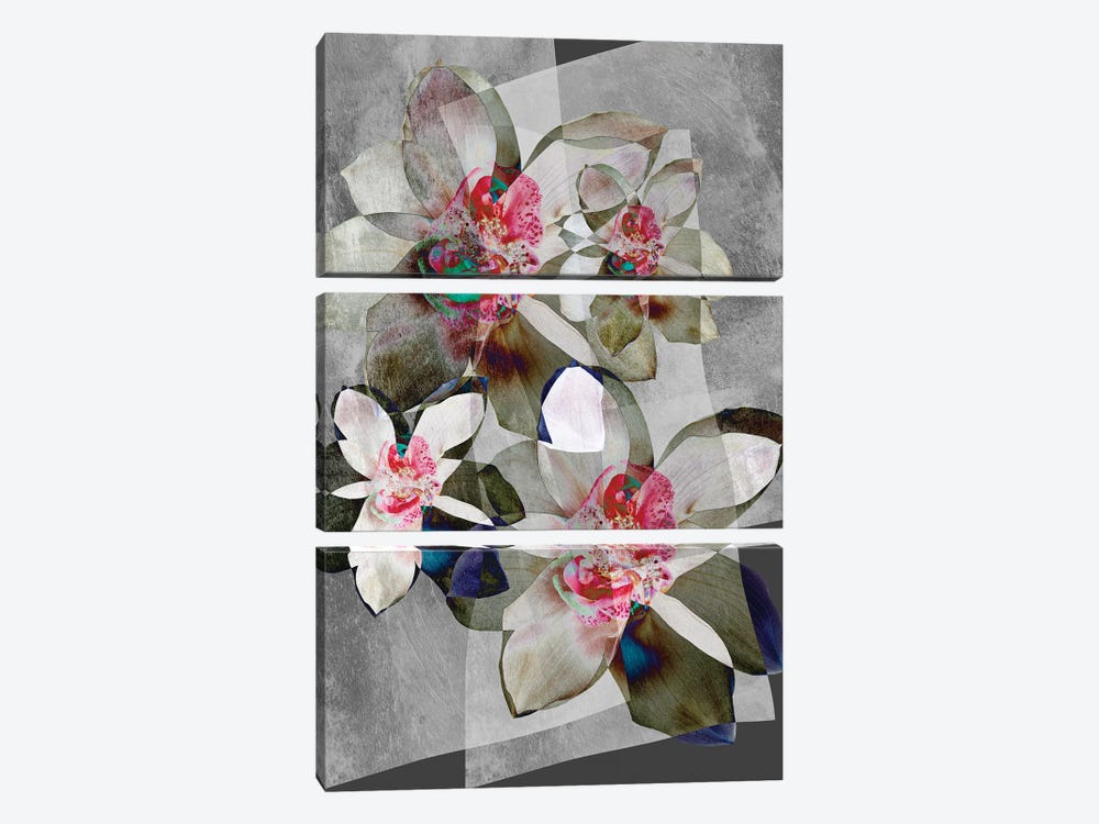 Orchid Bouquet by Larisa Siverina 3-piece Art Print
