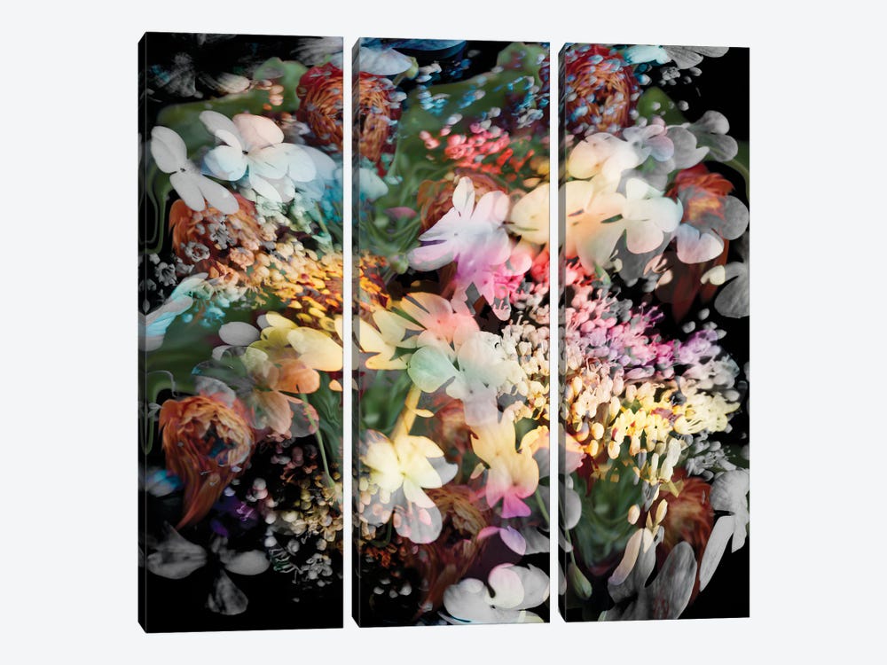Blossom by Larisa Siverina 3-piece Canvas Print