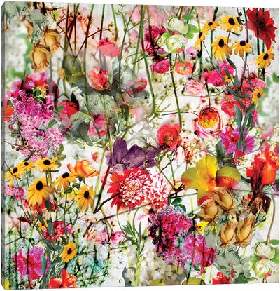 Summer Garden Canvas Art Print - Larisa Siverina