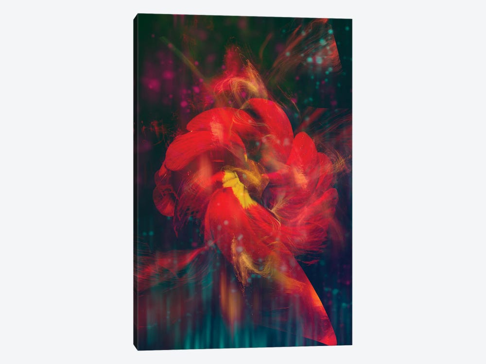Red Flower III by Larisa Siverina 1-piece Canvas Print