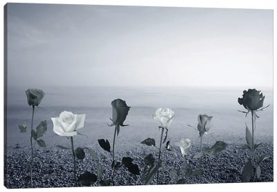 Roses And Sea Canvas Art Print - Larisa Siverina