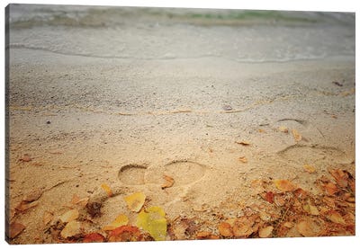 Footprints In The Sand Canvas Art Print - Larisa Siverina