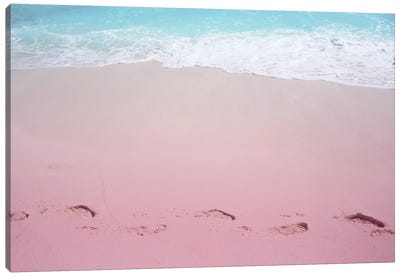 Pink Sand Canvas Art Print - Larisa Siverina