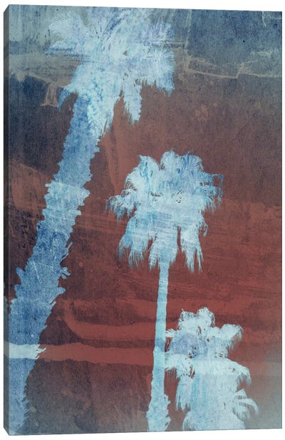 Palms II Canvas Art Print - Larisa Siverina