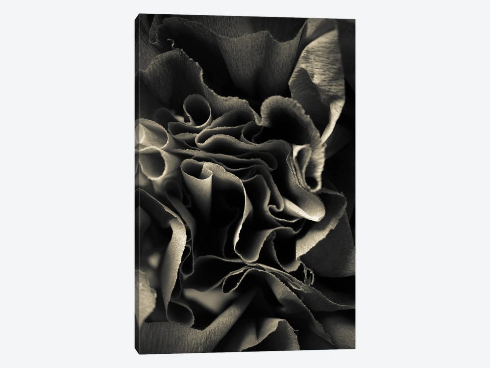 Paper Rose by Larisa Siverina 1-piece Art Print