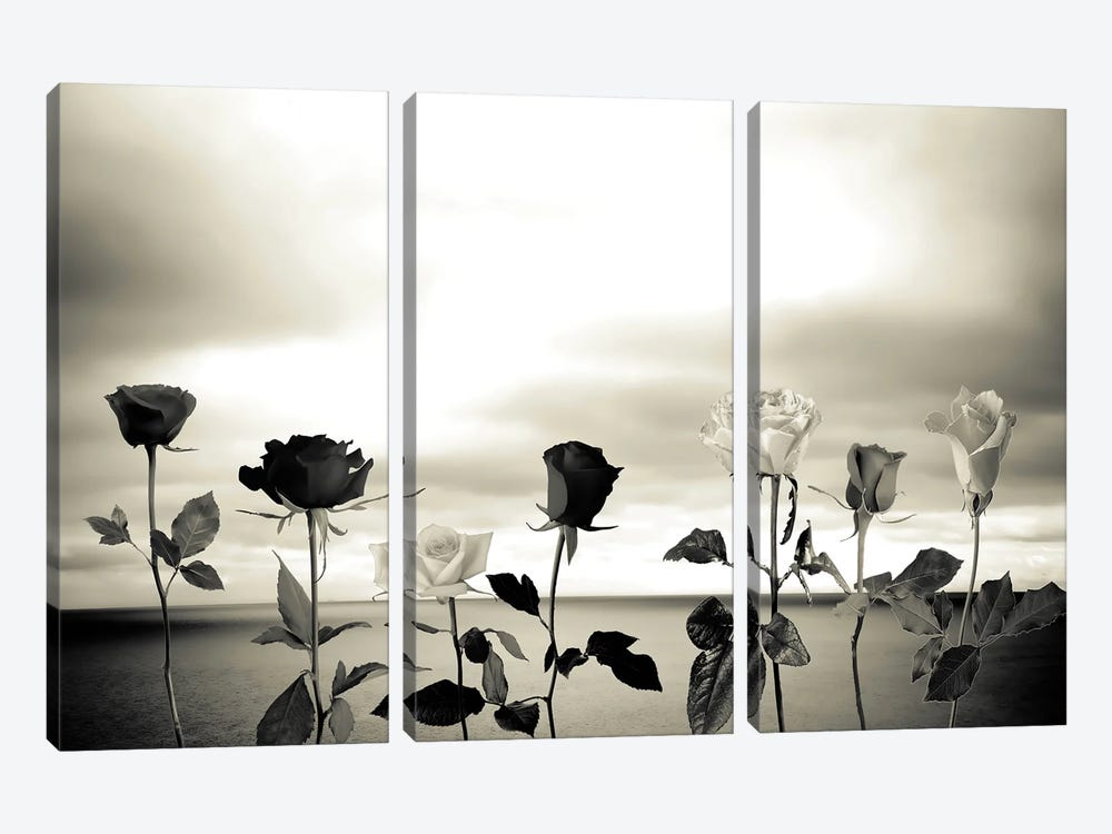 Roses And Sea II by Larisa Siverina 3-piece Canvas Print