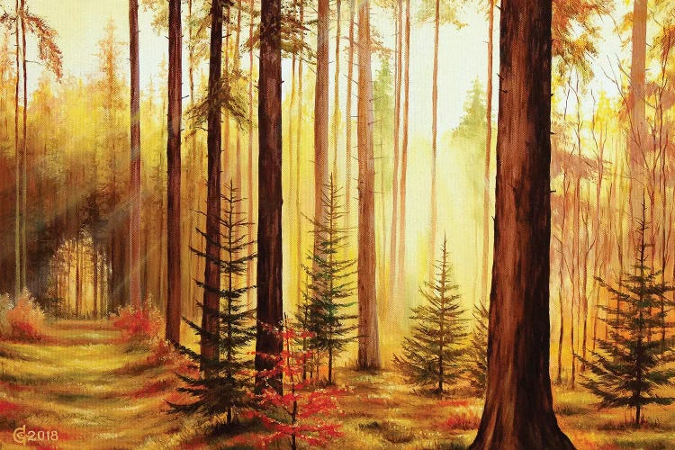 Lights And Shadows by Svetoslav Stoyanov wall art