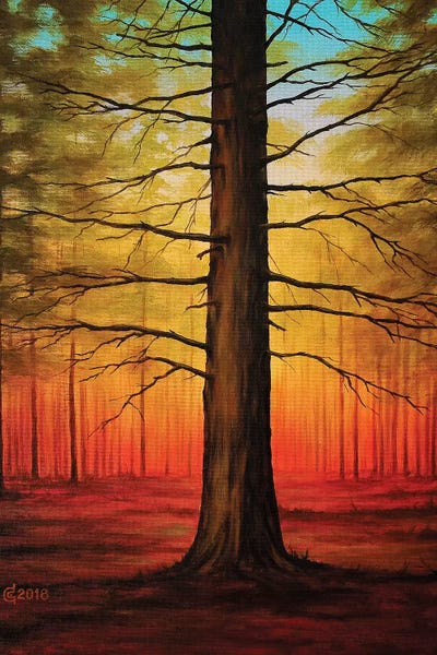 Alone by Svetoslav Stoyanov framed wall art