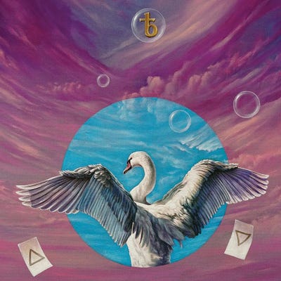 The Swan by Svetoslav Stoyanov metal wall art