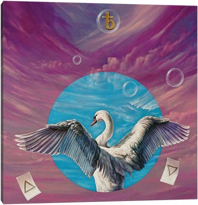 The Swan Canvas Art Print