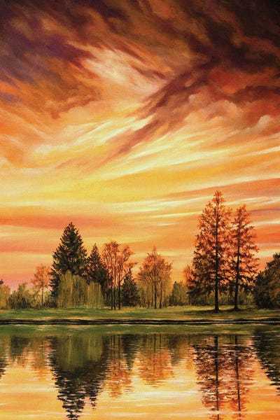 Reflections II by Svetoslav Stoyanov framed wall art