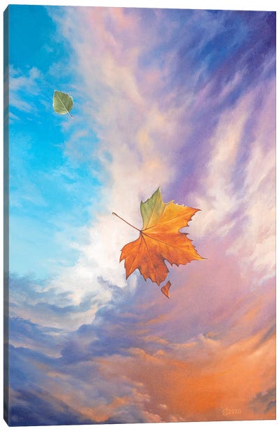The Transition Canvas Art Print - Cloudy Sunset Art