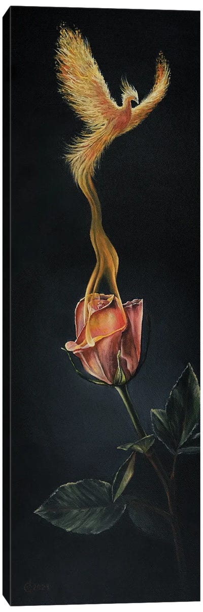 Rising Canvas Art Print - Rose Art