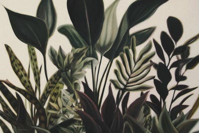 Svetlana Aleinikova - Framed Fine Art Prints: Quiet Jungle I by Svetlana Aleinikova