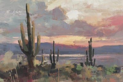 Svetlana Aleinikova - Framed Fine Art Prints: Sunset Cacti by Svetlana Aleinikova