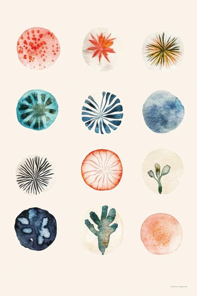 Fine Art Print: Botanical Flora by Svetlana Aleinikova
