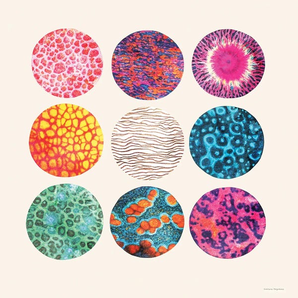 Expressive Circles