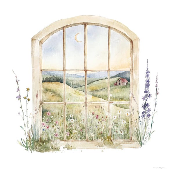 Field View