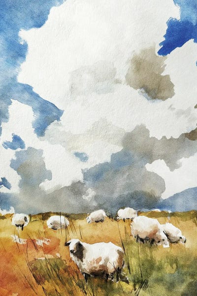 Grazing Fields
