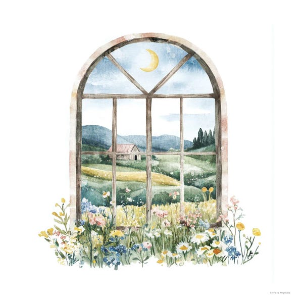 Window Of Nature