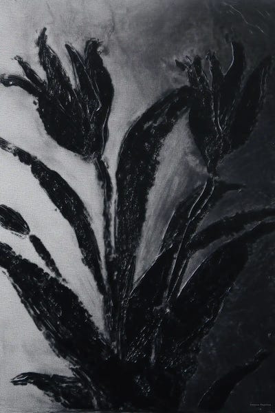 Svetlana Aleinikova: Shadow Botanica by Svetlana Aleinikova