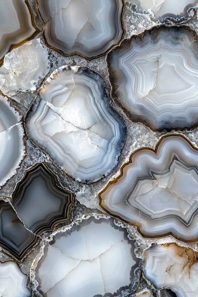 Svetlana Aleinikova: Crystal Veins by Svetlana Aleinikova