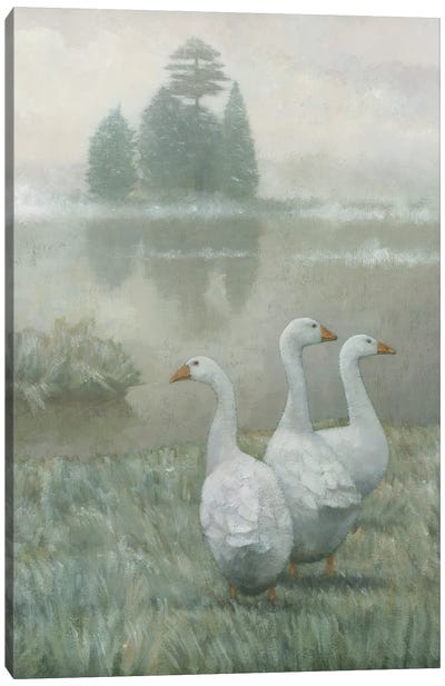 The Three Geese Canvas Art Print