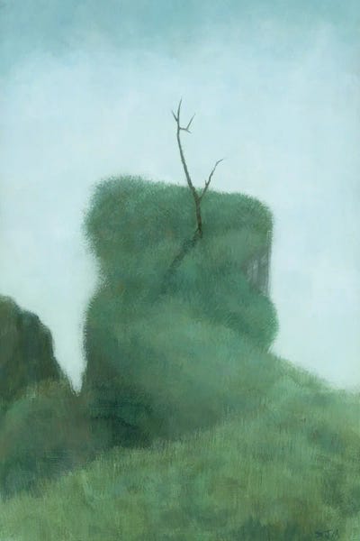 Steve Mitchell: Tree At Iguazu by Steve Mitchell