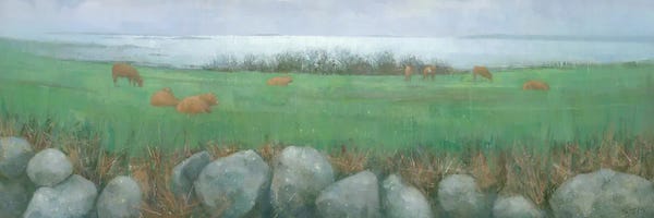 Steve Mitchell: Tresco Cows by Steve Mitchell