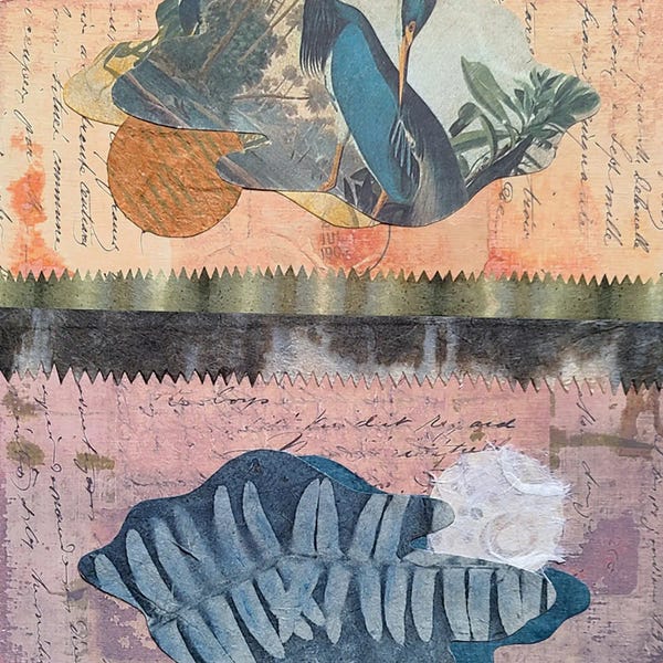 Fine Art Print: Minnow by Susan Savory