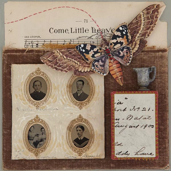 Come Little Leaves