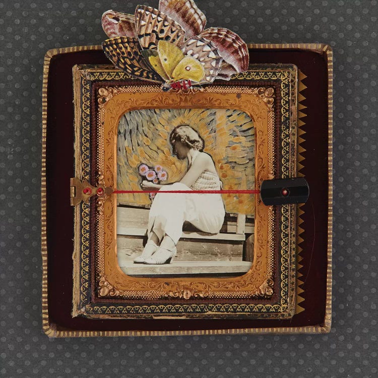 Coy Nellie by Susan Savory wall art
