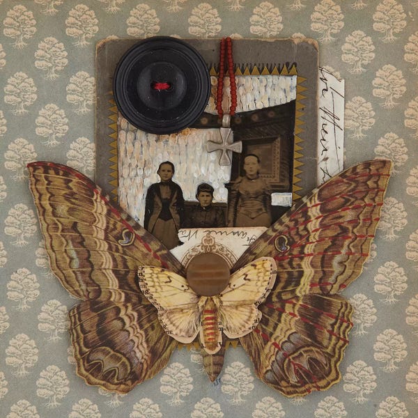 Susan Savory: Little Man by Susan Savory