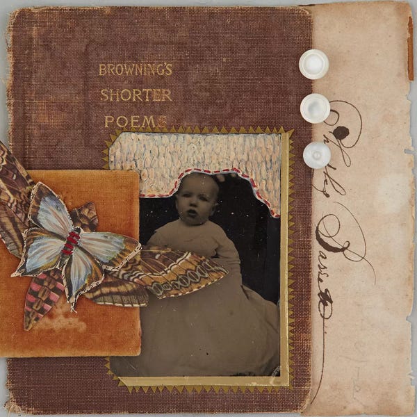 Susan Savory: Shorter Poems by Susan Savory