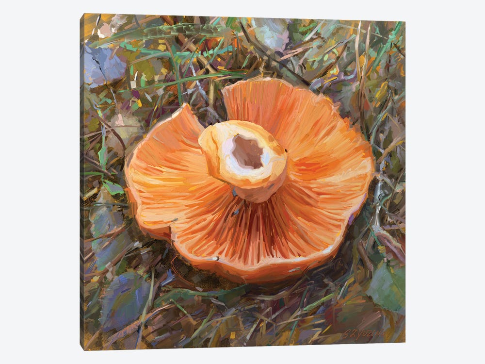 Mushrooms Season by Svetlana Zyuzina 1-piece Art Print
