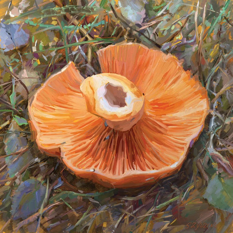 Mushrooms Season
