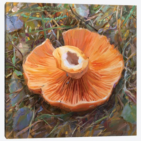 Mushrooms Season Canvas Print #SVZ24} by Svetlana Zyuzina Art Print