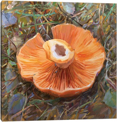 Mushrooms Season Canvas Art Print - Similar to Georgia O'Keeffe