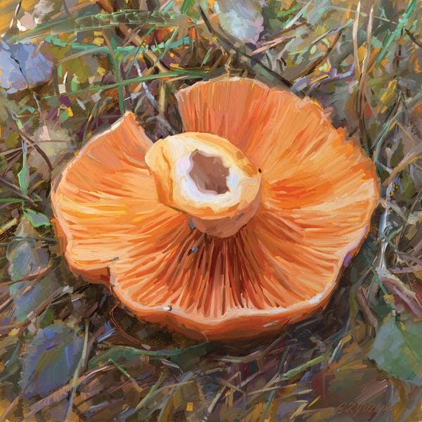 Similar To Georgia O'Keeffe: Mushrooms Season by Svetlana Zyuzina