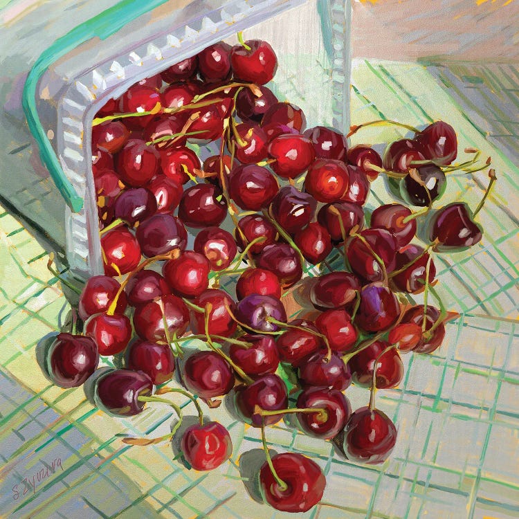 Freshly Picked  Up Cherries