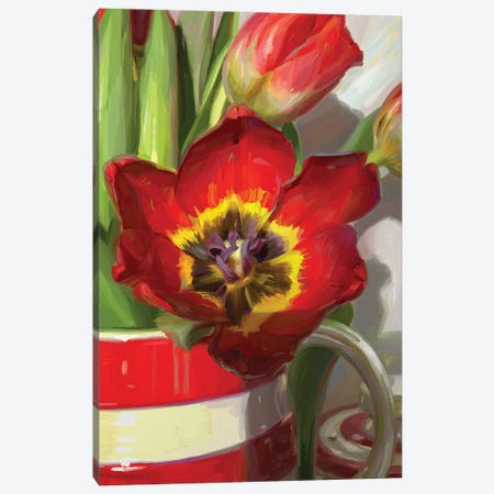 Red Tulip From Amsterdam Canvas Print #SVZ45} by Svetlana Zyuzina Canvas Art Print