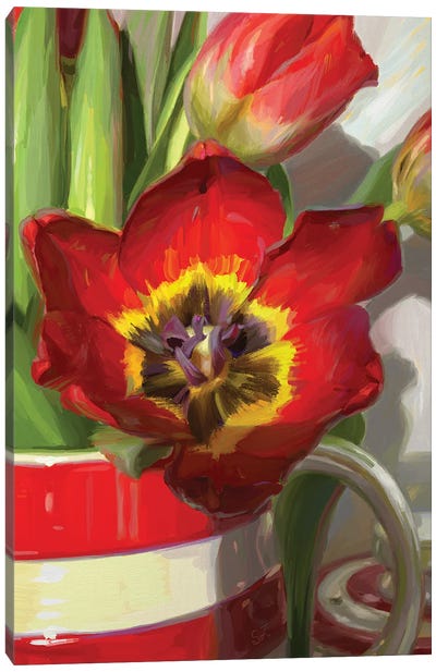 Red Tulip From Amsterdam Canvas Art Print - Similar to Georgia O'Keeffe